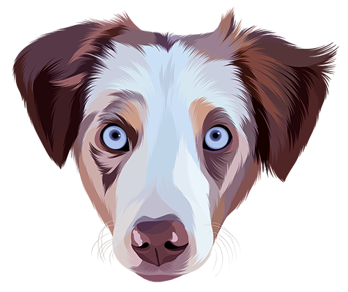 Illustration of Echo the dog